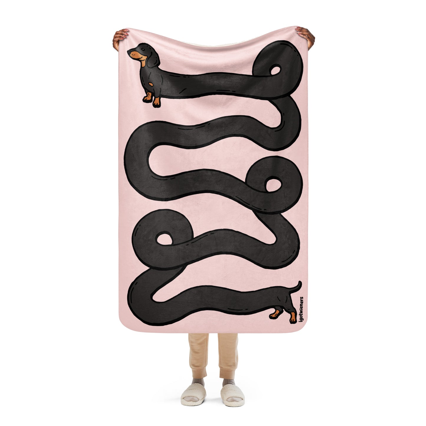 THE LONGEST WEEN BLANKET | smooth haired black & tan doxie | cotton candy pink