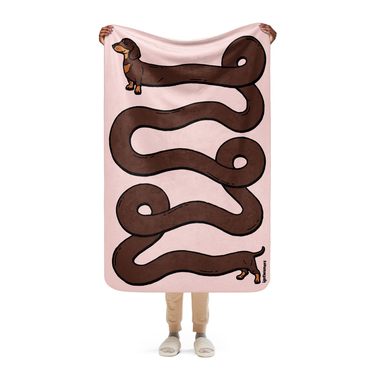 THE LONGEST WEEN BLANKET | smooth haired chocolate & tan doxie | cotton candy pink