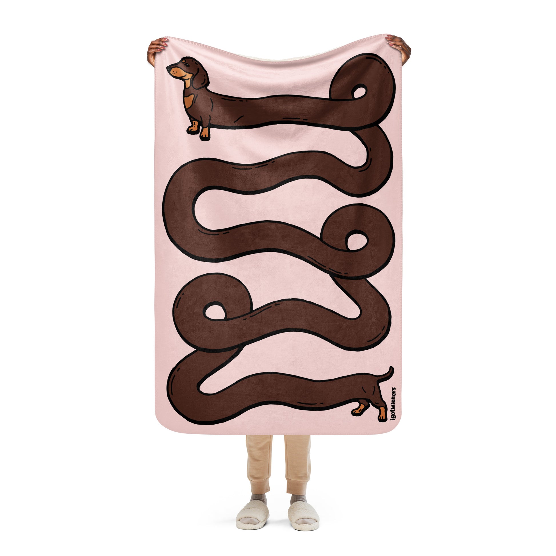 THE LONGEST WEEN BLANKET | smooth haired chocolate & tan doxie | cotton candy pink