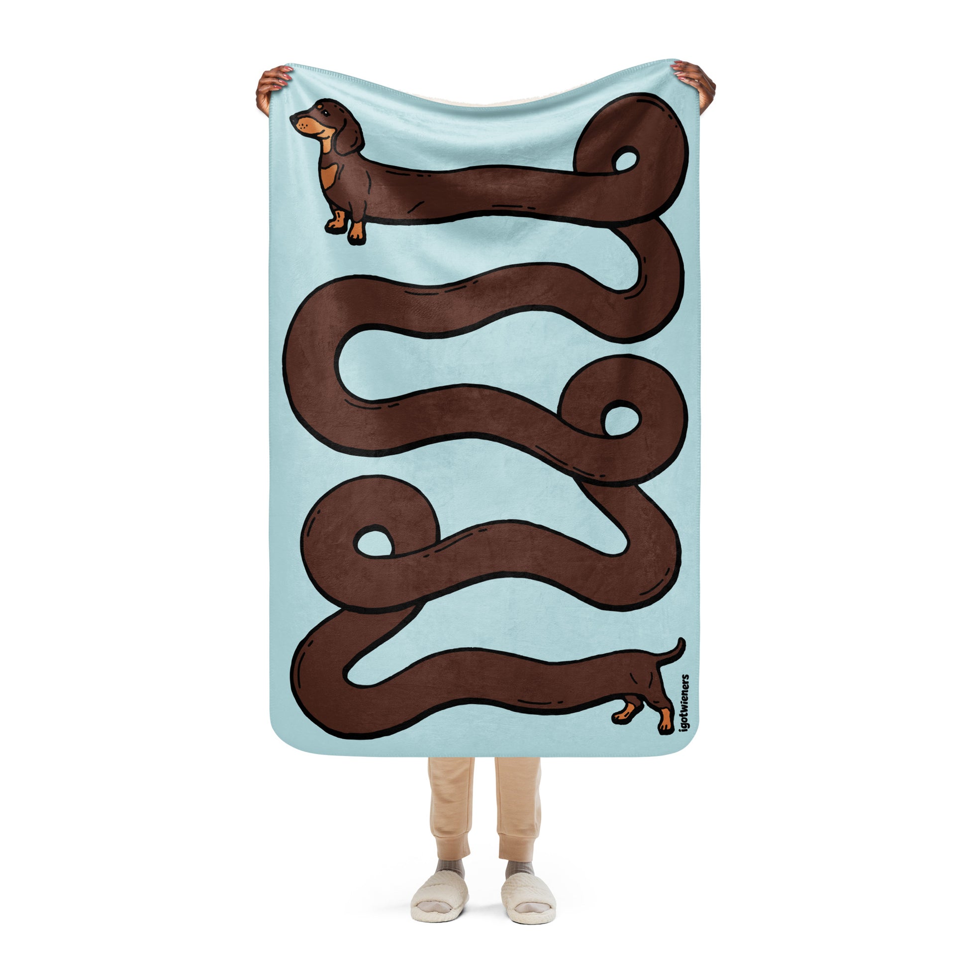 THE LONGEST WEEN BLANKET | smooth haired chocolate & tan doxie | cotton candy blue