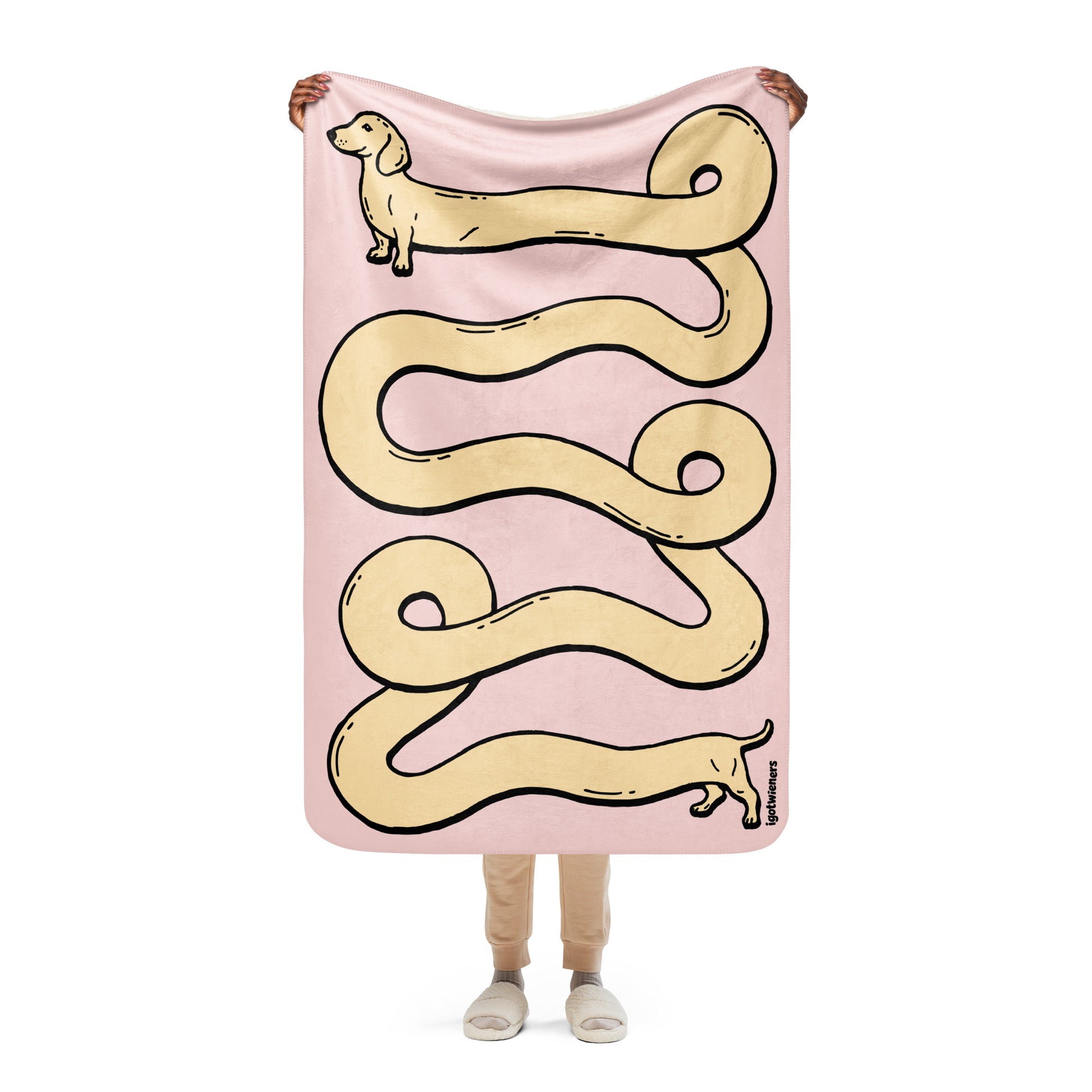 THE LONGEST WEEN BLANKET | smooth haired cream doxie | cotton candy pink