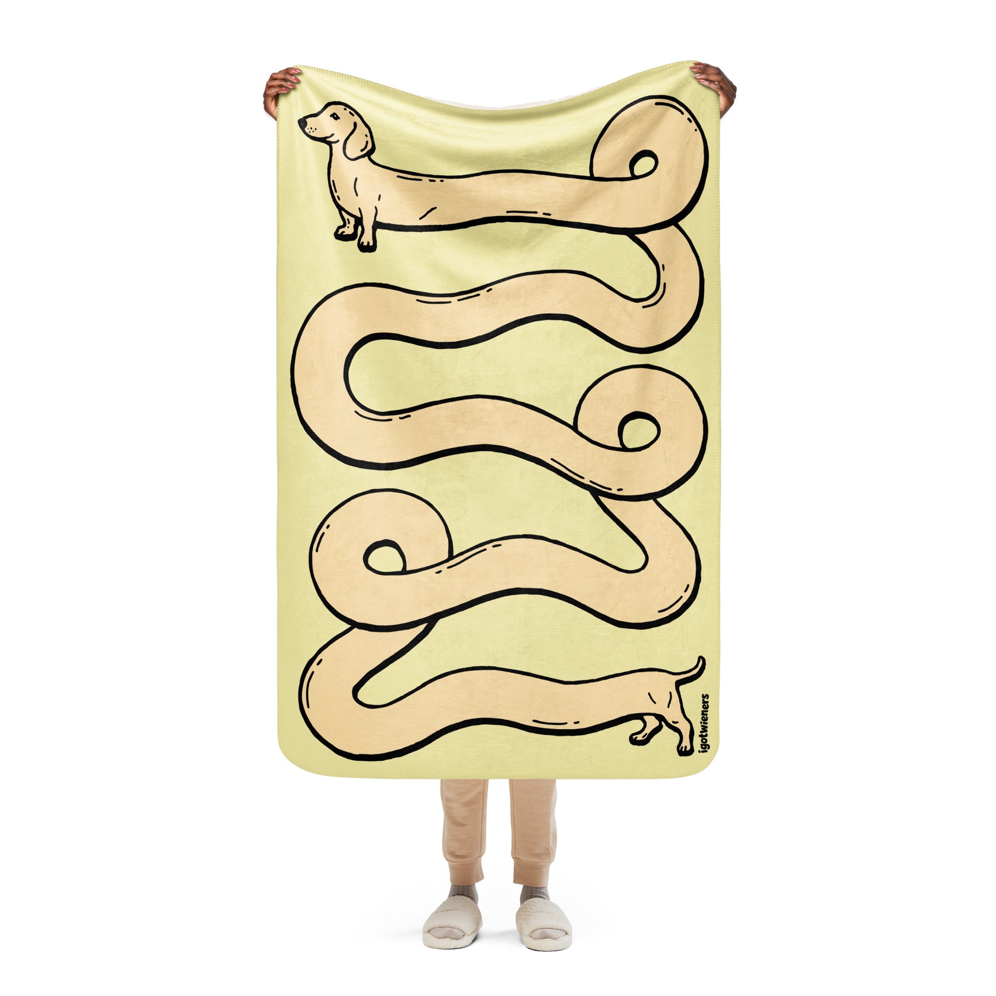 THE LONGEST WEEN BLANKET | smooth haired cream doxie | popcorn yellow
