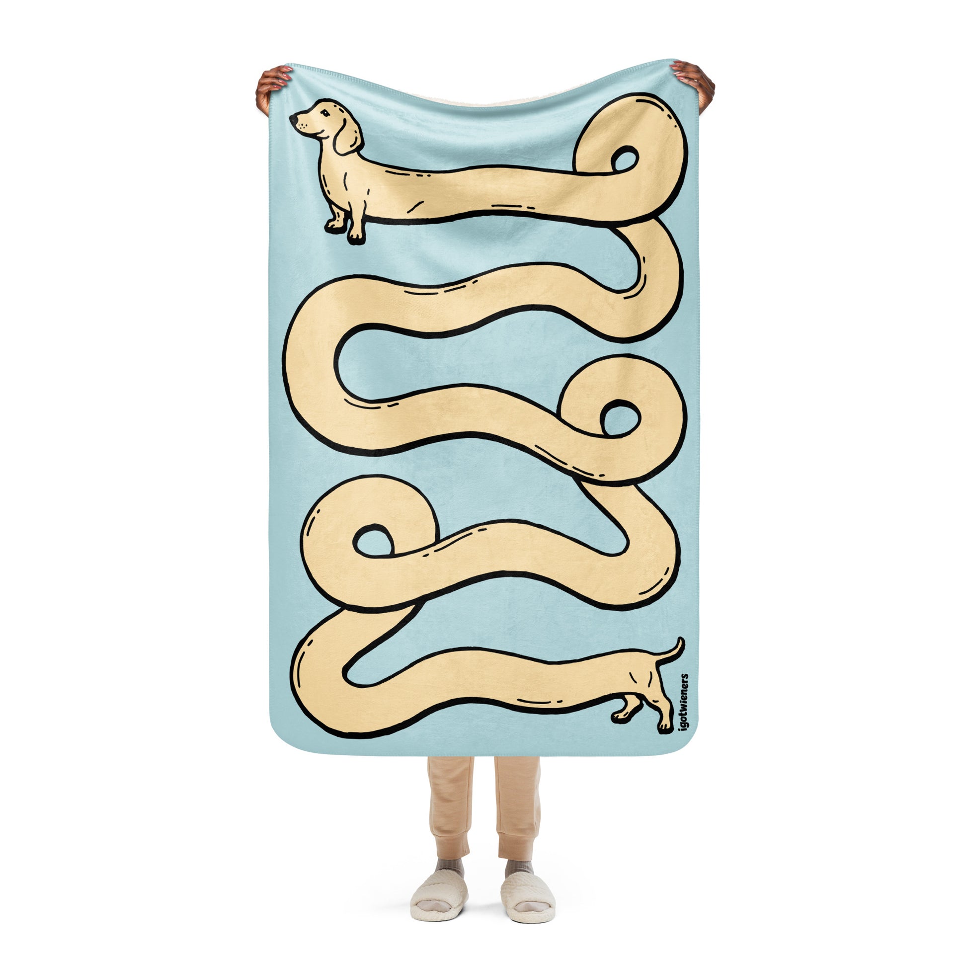 THE LONGEST WEEN BLANKET | smooth haired cream doxie | cotton candy blue