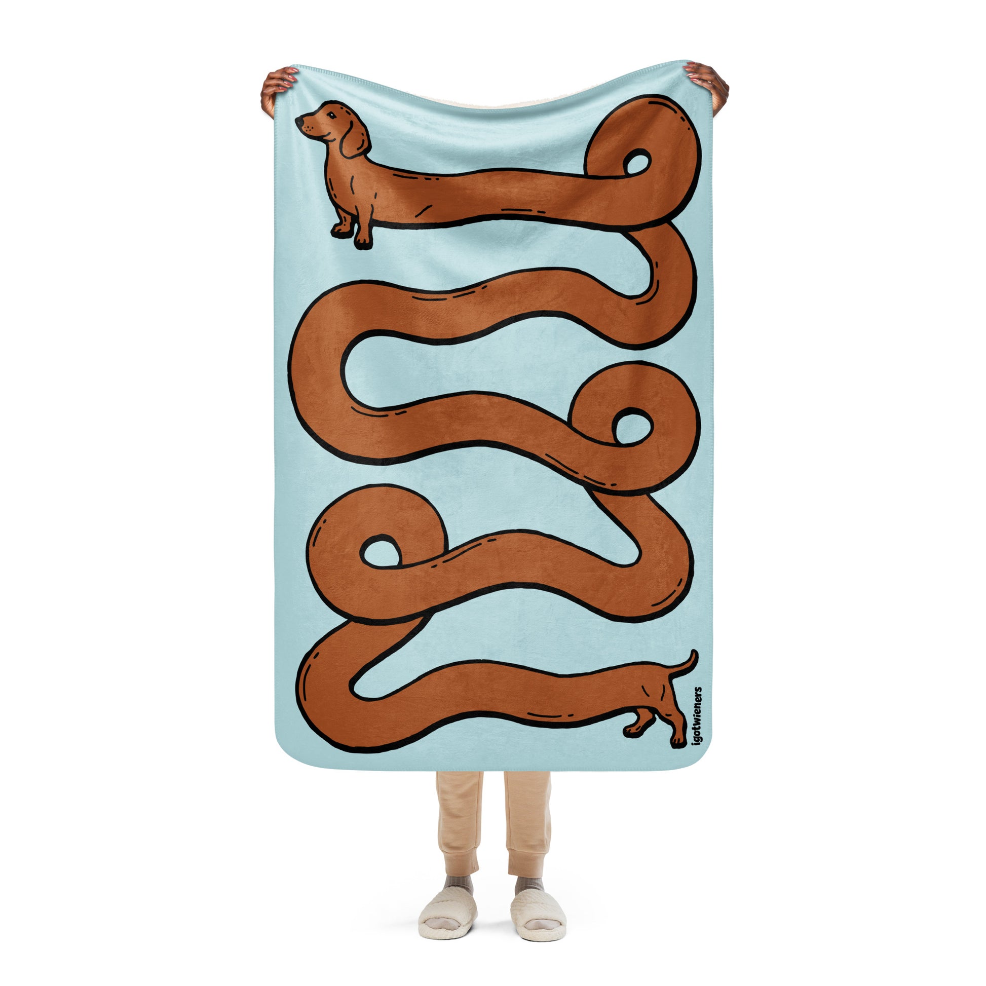 THE LONGEST WEEN BLANKET | smooth haired red doxie | cotton candy blue