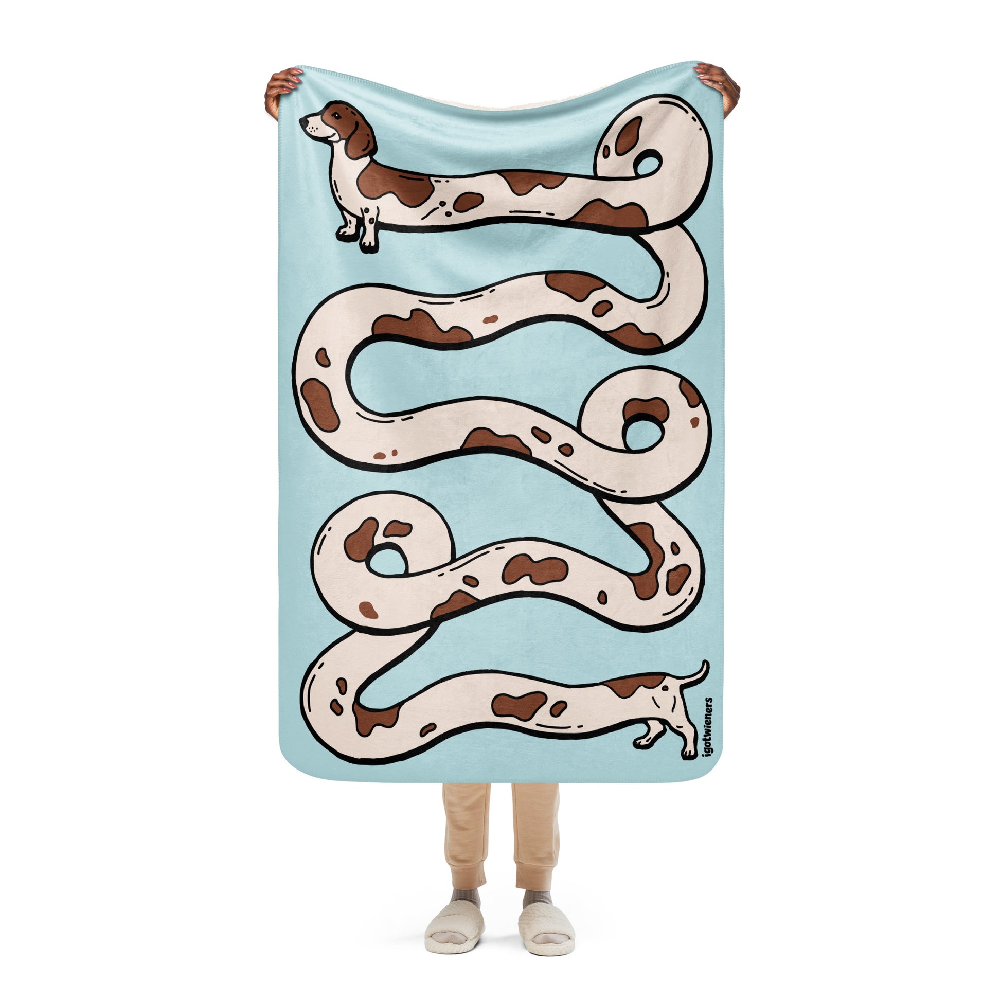 THE LONGEST WEEN BLANKET | smooth haired piebald doxie | cotton candy blue