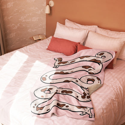 THE LONGEST WEEN BLANKET | smooth haired piebald doxie | cotton candy pink