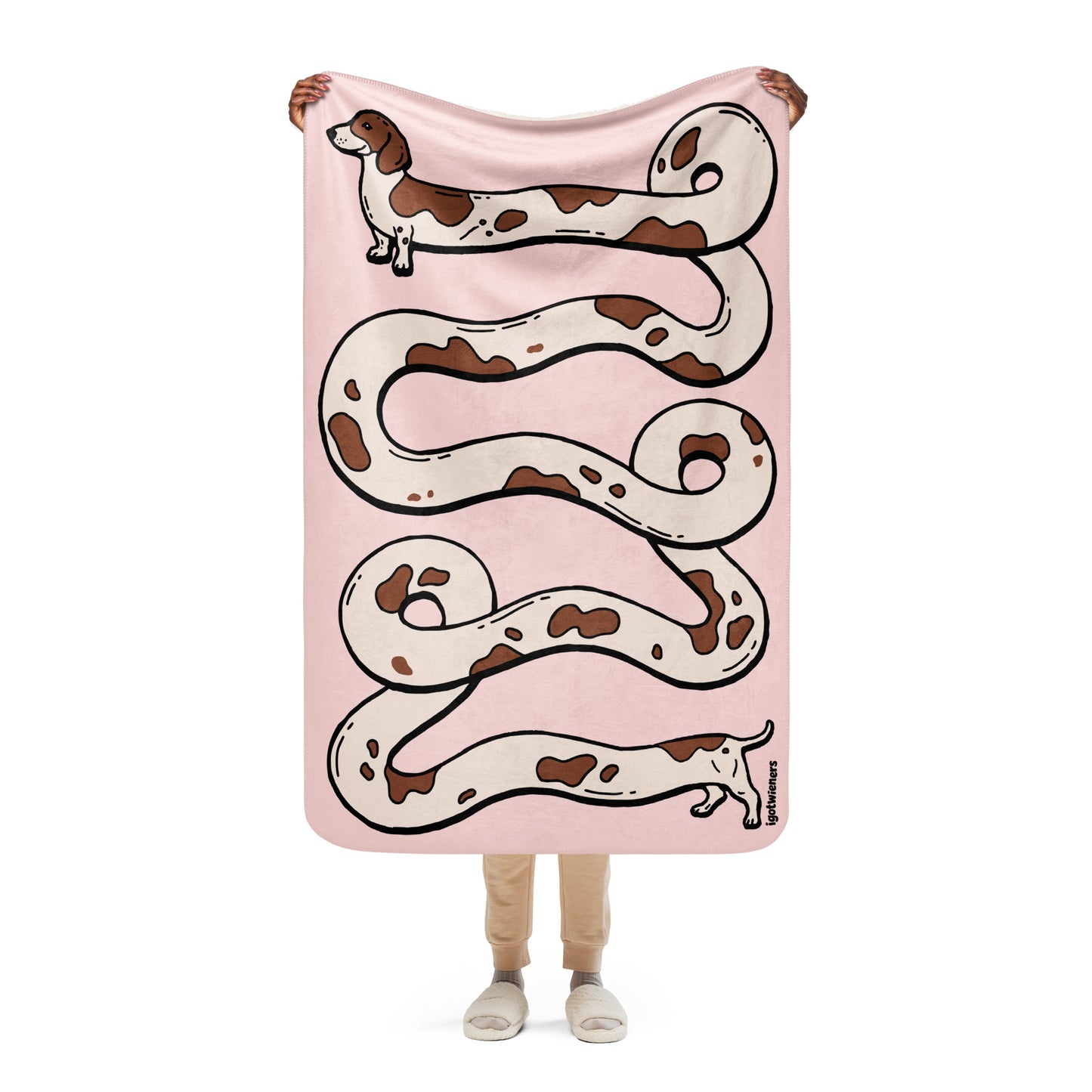 THE LONGEST WEEN BLANKET | smooth haired piebald doxie | cotton candy pink