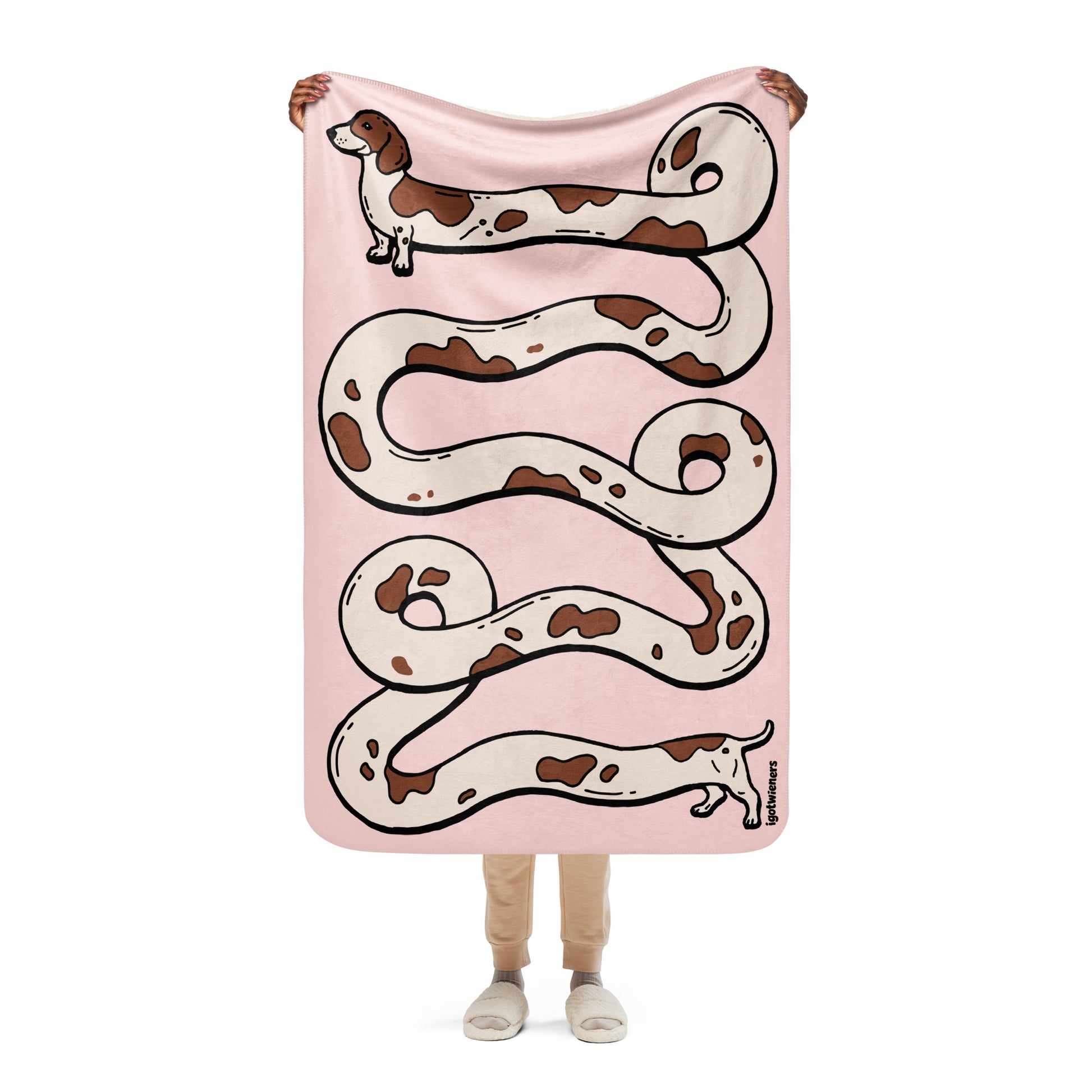 THE LONGEST WEEN BLANKET | smooth haired piebald doxie | cotton candy pink