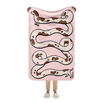 THE LONGEST WEEN BLANKET | smooth haired piebald doxie | cotton candy pink