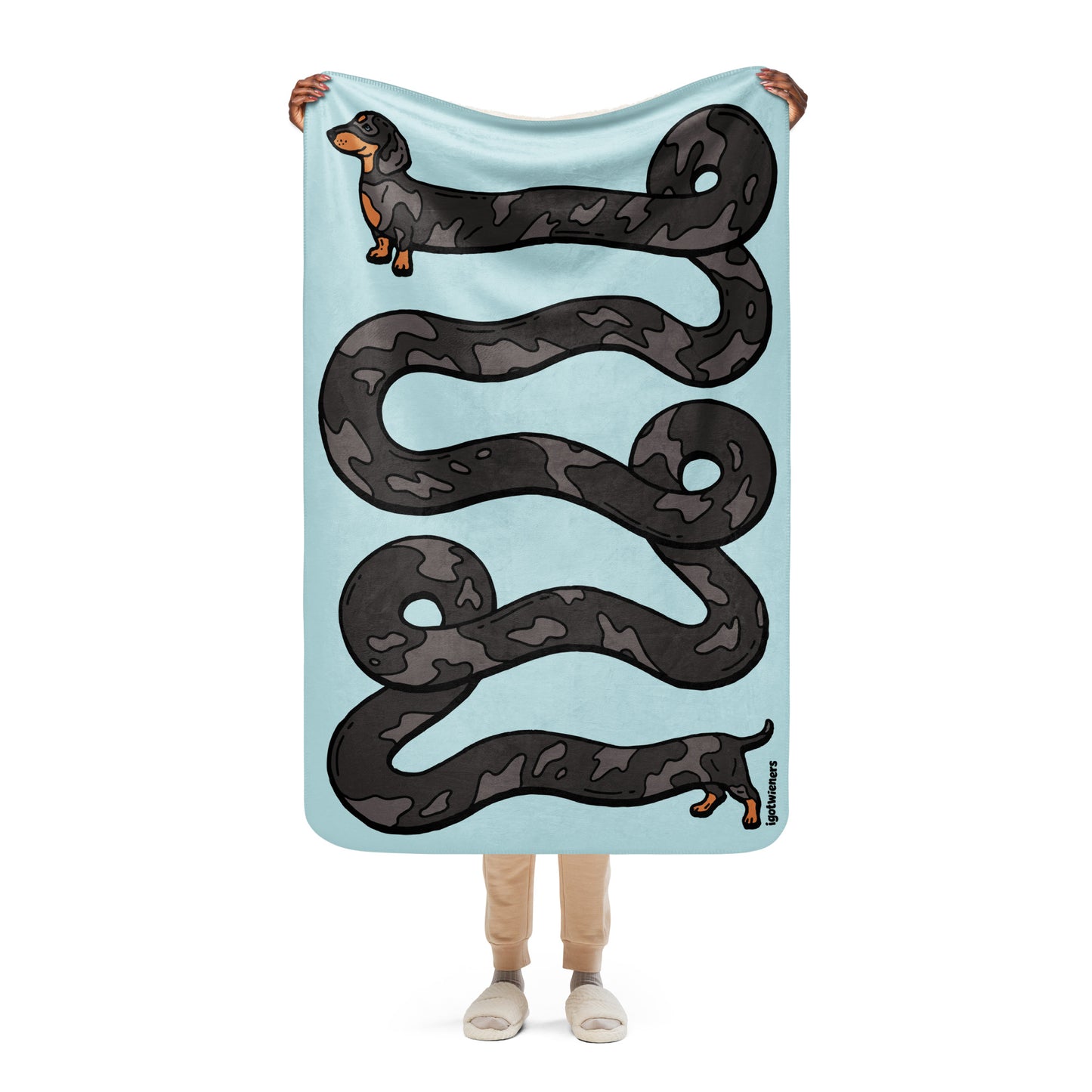 THE LONGEST WEEN BLANKET | smooth haired dapple doxie | cotton candy blue