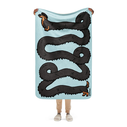 THE LONGEST WEEN BLANKET | long haired black & tan doxie | cotton candy blue