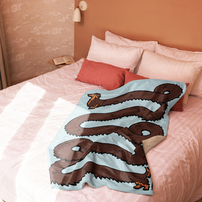 THE LONGEST WEEN BLANKET | long haired chocolate & tan doxie | cotton candy blue