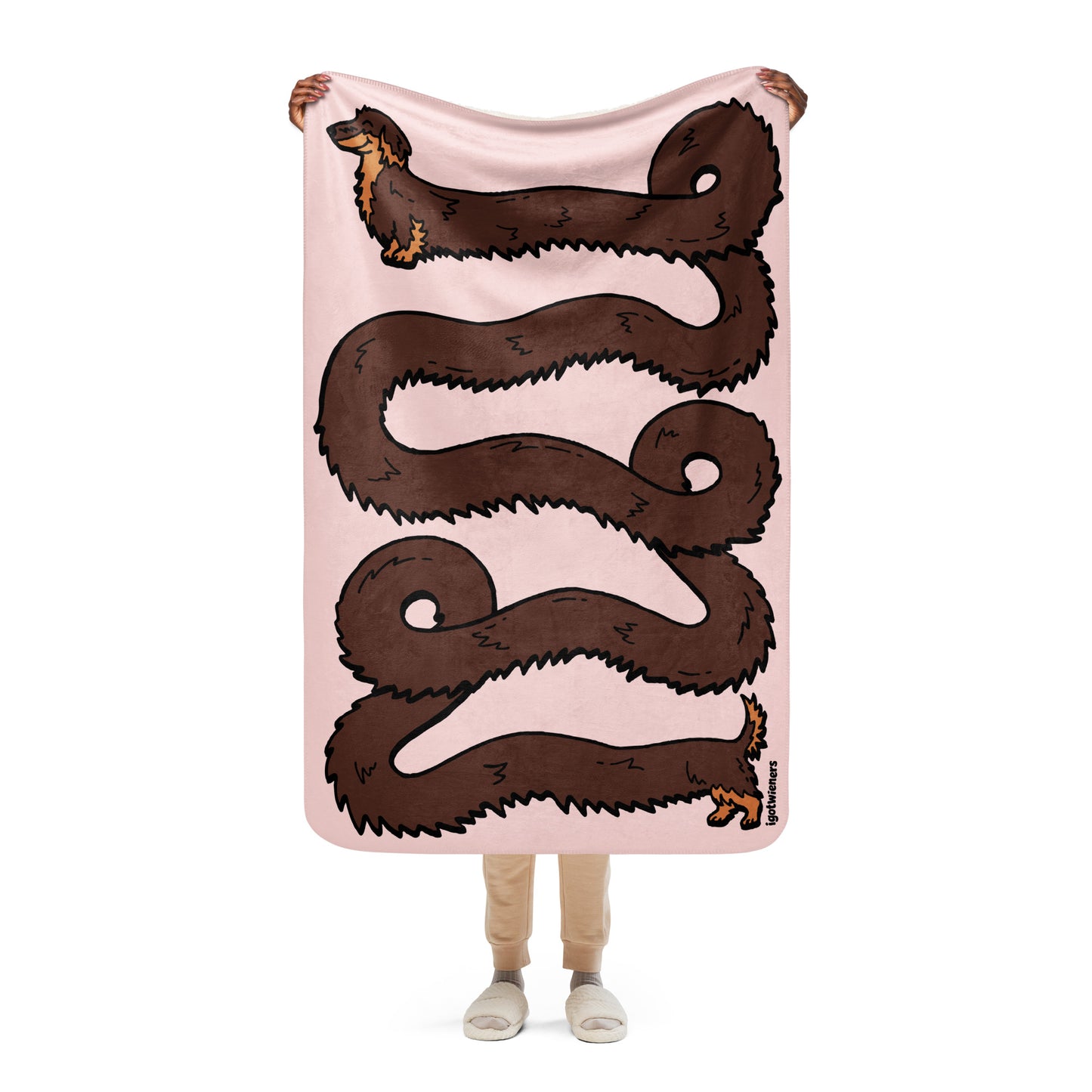 THE LONGEST WEEN BLANKET | long haired chocolate & tan doxie | cotton candy pink
