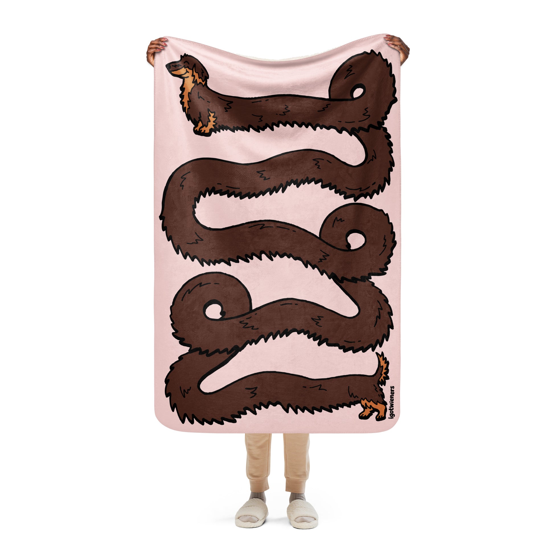 THE LONGEST WEEN BLANKET | long haired chocolate & tan doxie | cotton candy pink