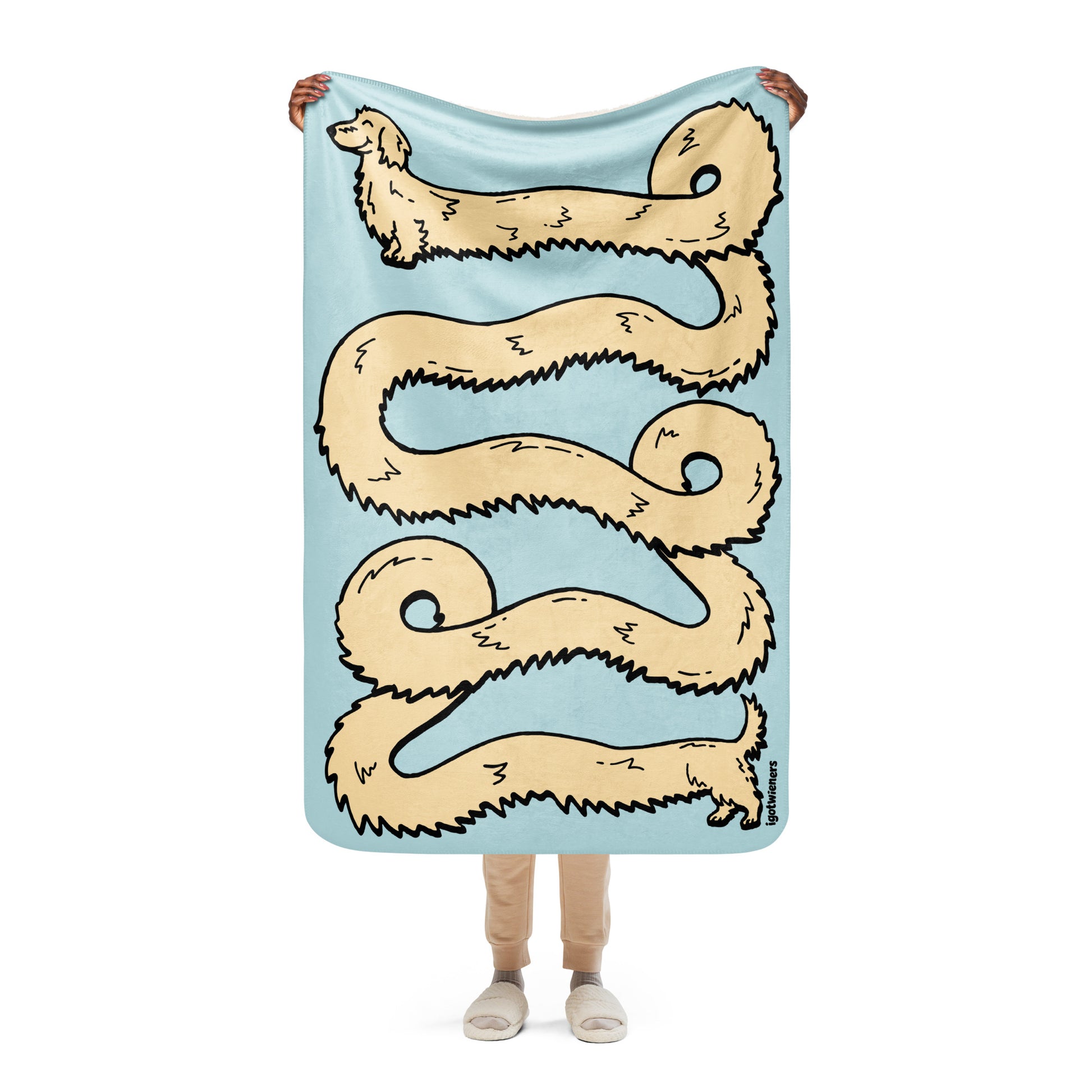 THE LONGEST WEEN BLANKET | long haired cream doxie | cotton candy blue