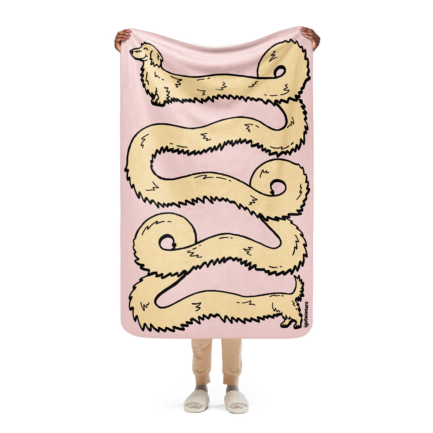 THE LONGEST WEEN BLANKET | long haired cream doxie | cotton candy pink