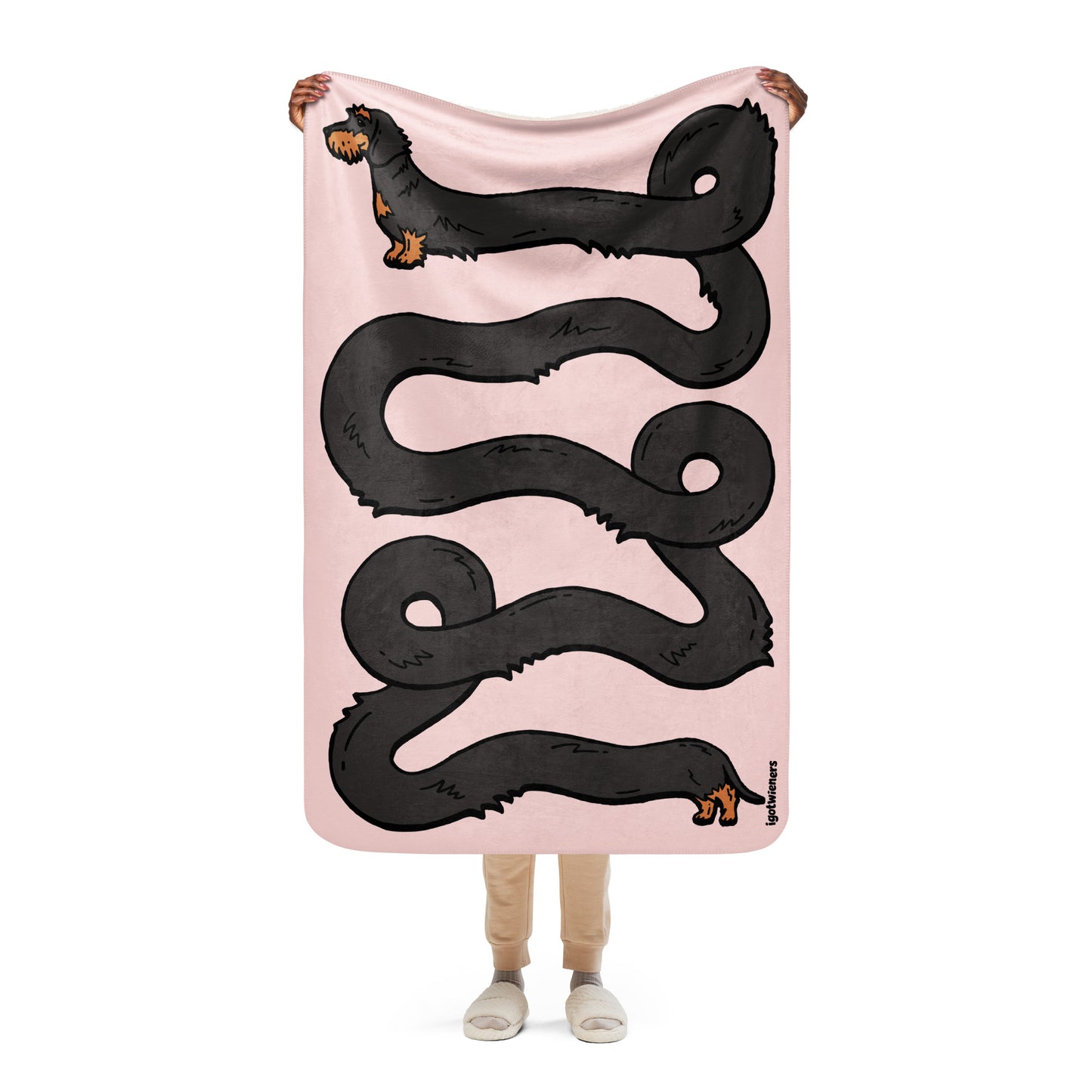 THE LONGEST WEEN BLANKET | wirehaired black & tan doxie | cotton candy pink