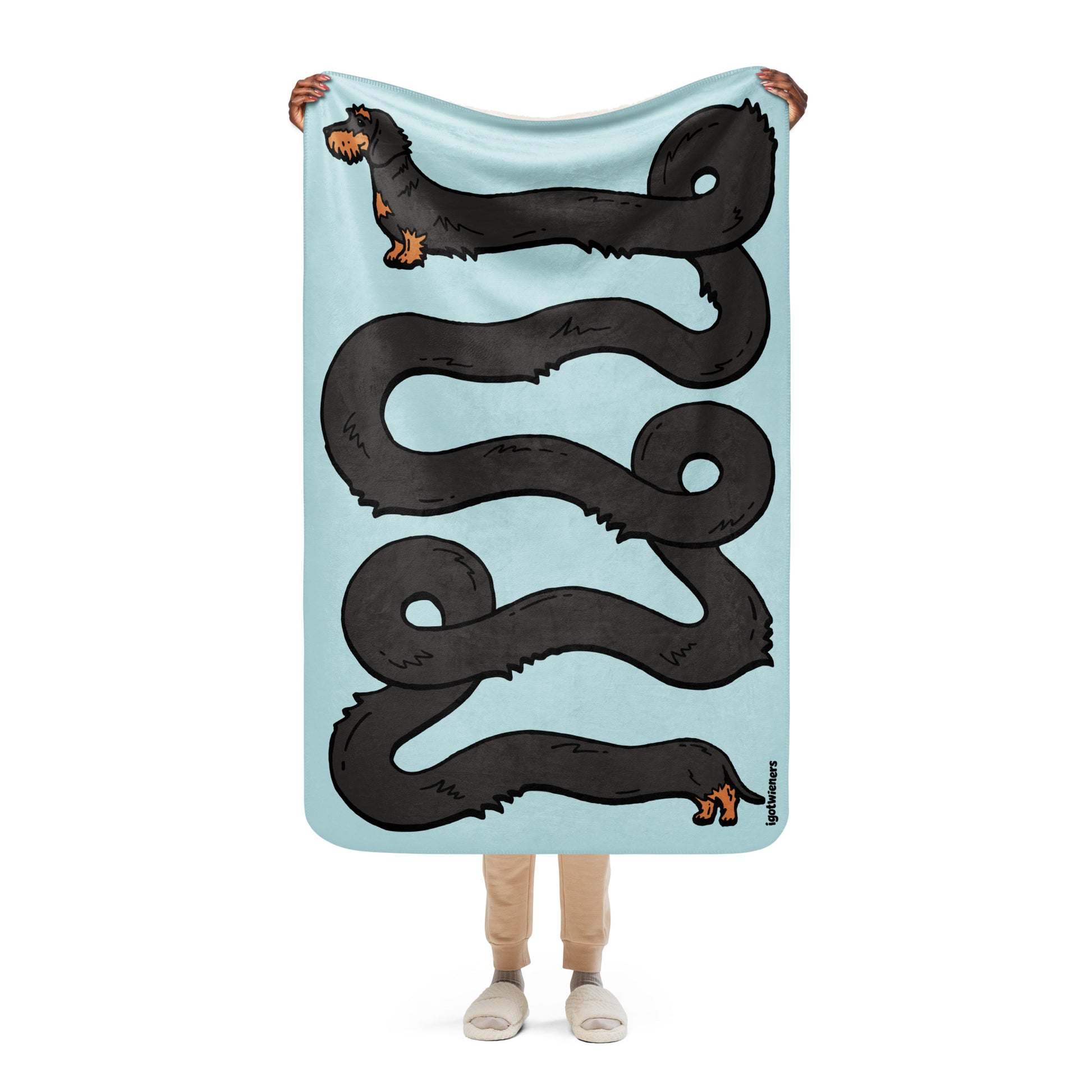 THE LONGEST WEEN BLANKET | wirehaired black & tan doxie | cotton candy blue