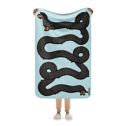 THE LONGEST WEEN BLANKET | wirehaired black & tan doxie | cotton candy blue