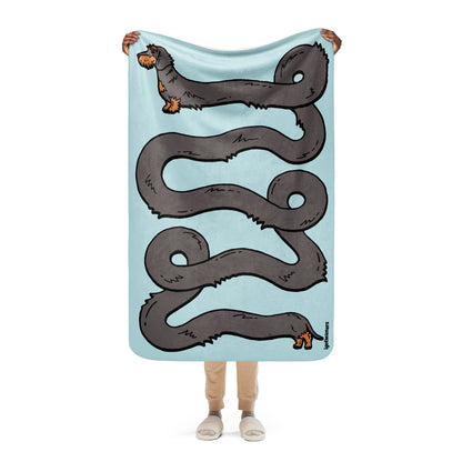 THE LONGEST WEEN BLANKET | wirehaired wild boar doxie | cotton candy blue