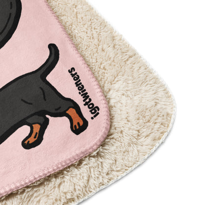 THE LONGEST WEEN BLANKET | smooth haired black & tan doxie | cotton candy pink