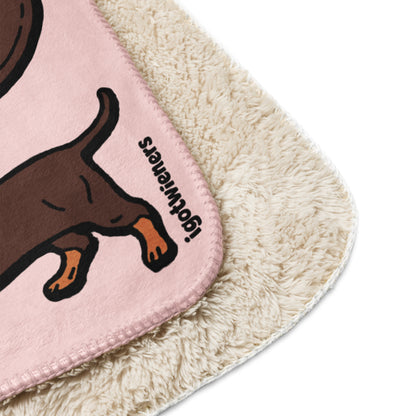 THE LONGEST WEEN BLANKET | smooth haired chocolate & tan doxie | cotton candy pink